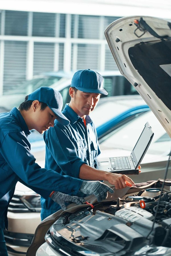 Comment détecter la surdité chez un chat ?